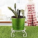 HINS Yellow Metal Bucket Round Shape Flower &amp; Plant Pot With Stand Metal Pots For Indoor Plants I Elevated Garden Planter I Raised Planter I Desk Plant I Raised Planter Box I Ascent Homes Metal Planter I Raised Planter Bo