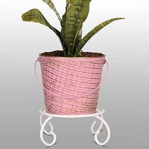 hins metal bucket round shape flower plant pot with white stand metal pots for indoor plants i elevated garden planter i raised planter i pink small set of 3 metal pots for indoor plants i elevated garden planter i raised planter i desk plant i raised planter box i ascent homes metal planter i raised planter box with legs i brass pots for indoor plants i golden planter i mid century plant stand i brass planters for indoor plants i indoor plant stand for living room i metal planters pot