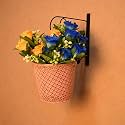 HINS Metal Bucket Round Shape Flower Plant Pot Metal Pots for Indoor Plants I Elevated Garden Planter I Raised Planter I (Pink, Large)