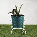 HINS Metal Bucket Round Shape Flower Plant Pot With Stand Metal With Stand Pots For Indoor Plants I Elevated Garden Planter I Raised Planter I Desk Plant I Raised Planter Box I Ascent Homes Metal Planter I Raised Planter Box 