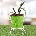 HINS Metal Bucket Round Shape Flower Plant Pot With White Stand Metal Pots For Indoor Plants I Elevated Garden Planter I Raised Planter I Desk Plant I Raised Planter Box I Ascent Homes Metal Planter I Raised Planter Box With 
