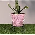 HINS Pink Metal Bucket Shape Flower Plant Pot Black With Stand Hand Plant Bucket For Garden And House Decoration Flower Bucket For Indoor Decor &amp; Table Decor For Office Decoration For Living Room Decor Pot For Gardening F