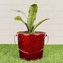 HINS Red Metal Bucket Shape Flower Plant Pot Hand Plant Bucket For Garden And House Decoration Flower Bucket For Indoor Decor &amp; Table Decor For Office Decoration For Living Room Decor Pot For Gardening Flower Plant Pot Fo