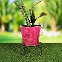 HINS Red Metal Bucket Shape Flower Plant Pot Black With Stand) Hand Plant Bucket For Garden And House Decoration Flower Bucket For Indoor Decor &amp; Table Decor For Office Decoration For Living Room Decor Pot For Gardening F