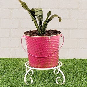 hins metal bucket round shape flower plant pot with stand metal pots for indoor plants i elevated garden planter i raised planter i desk plant i raised planter box i ascent homes metal planter i raised planter box with legs i brass pots for indoor plants i golden planter i mid century plant stand i brass planters for indoor plants i indoor plant stand for living room i metal planters pot for indoor plants designer pots for indoor plants