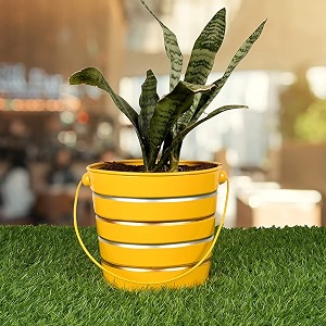 hins yellow metal bucket round shape flower plant pot metal pots for indoor plants