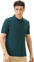 Hint Solid Men Polo Neck Light Green