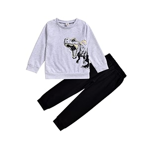 HINTINA Toddler Boy Sweatshirt Outfits Long Sleeve