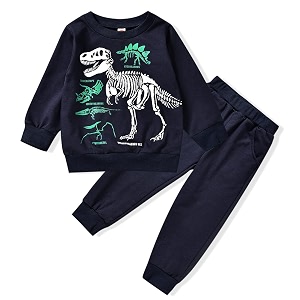 HINTINA Toddler Boy Sweatshirt Outfits Long Sleeve