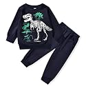 HINTINA Toddler Boy Sweatshirt Outfits Long Sleeve