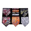HISDERN Mens Ties Set 5PCS Collection Tie with Pocket Sqaure Formal Business Necktie Present Box Neckties Set for Men