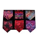 HISDERN Mens Ties Set 5PCS Collection Tie with Pocket Sqaure Formal Business Necktie Present Box Neckties Set for Men