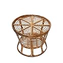 Wood Bamboo Cane Lawn Chair with Cushion (Brown