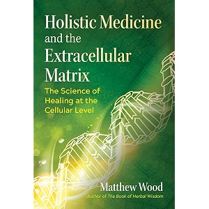 holistic medicine and the extracellular matrix