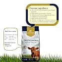 Holstein Calf Starter 25kg, High Protein Cattle Feed Pellets