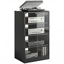 HOMCOM Media Cabinet 4-Tier Stereo Cabinet with Glass Door Black