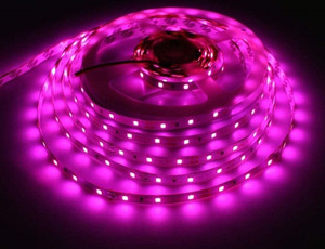 home delight 275 leds 5 m pink steady strip rice lights
