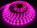 Home Delight 275 LEDs 5 m Pink Steady Strip Rice Lights