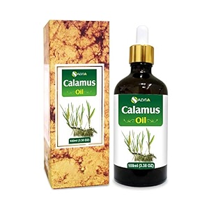 salvia home genie calamus acorus calamus oil100 pure amp natural undiluted essential oil - 100ml