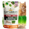 HOME GROWN Cat Grass Seeds 16 oz, Oat & Barley Mix, Easy to Grow