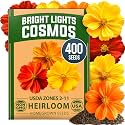 HOME GROWN Cosmos Bright Lights Mix 400 Flower Seeds Cosmos sulphureus