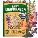 HOME GROWN Fairy Snapdragon Seeds, 7,000 Seeds, Linaria maroccana