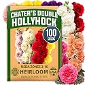 HOME GROWN Hollyhock Seeds, Chater's Double Mix, 100 Seeds, Alcea rosea