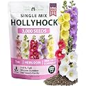 HOME GROWN Hollyhock Single Mix 3000 Flower Seeds 1 oz