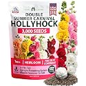 HOME GROWN Hollyhock Summer Carnival Mix 3000 Flower Seeds Alcea rosea