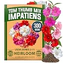 HOME GROWN Impatiens Seeds, Tom Thumb Mix, 300 Seeds, Impatiens balsamina