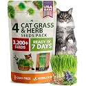 HOME GROWN Indoor Cat Grass Refill 3,200+ Seeds Cat Grass Kit Replacement