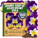 HOME GROWN Johnny Jump Up Helen Mount Viola Seeds, 1,500, Viola Tricolor
