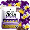 HOME GROWN Johnny Jump Up Helen Mount Seeds, 6,000 Seeds, Viola Tricolor