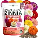 HOME GROWN Lilliput Mix Zinnia 8450 Flower Seeds Zinnia elegans