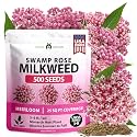 HOME GROWN Milkweed Seeds, Swamp Rose, 500 Seeds, Asclepias incarnata