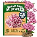 HOME GROWN Milkweed Seeds, Swamp Rose, 200 Seeds, Asclepias incarnata