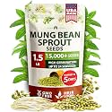 HOME GROWN Mung Bean 15,000+ Sprouting Seeds 1.5 lb Vigna Radiata