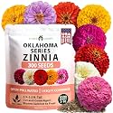 HOME GROWN Oklahoma Zinnia Seeds, 300 Seeds, Zinnia elegans