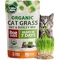 HOME GROWN Organic Cat Grass Seeds Pack 8 oz 7200 Oat & Barley Grass Seeds