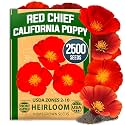 HOME GROWN Red Chief California Poppy Seeds, 2500 Eschscholzia californica