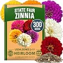 HOME GROWN State Fair Zinnia 300 Flower Seeds Zinnia elegans