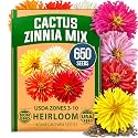 HOME GROWN Zinnia Cactus Mix 650 Flower Seeds Zinnia elegans