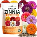 HOME GROWN Zinnia Seeds Dahlia Mix - 4300 Seeds, Zinnia Elegans