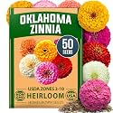 HOME GROWN Zinnia Seeds, Oklahoma, 50 Seeds, Zinnia elegans