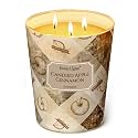 Home Lights 3-Wick Candles for Home Scented - 34oz Soy Wax Candle Long-Lasting Fragrance, Rustic Modern Home Decor and Housewarming Gifts, Candied Apple Cinnamon