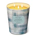 Home Lights 3-Wick Candles for Home Scented - 34oz Soy Wax Candle Long-Lasting Fragrance, Scandinavian Minimalist Design Home Decor and Housewarming Gifts, Lavender Eucalyptus