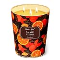 Home Lights 3-Wick Candles for Home Scented - 34oz Soy Wax Candle Long-Lasting Fragrance, Eclectic Mixed Styles Home Decor and Housewarming Gifts, Amalfi Citrus