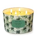 Home Lights 4-Wick Candles for Home Scented - 18oz Soy Wax Candle Long-Lasting Fragrance, Scandinavian Minimalist Design Home Decor and Housewarming Gifts, Coconut Island