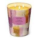 Home Lights Citrus Lavender Scented Candles, 34oz Soy Candles Scandinavian Minimalist Design 3-Wick Large Candle Jars, Ideal Candle Gifts for Events, Home Decor Stress, Relief &amp; Relaxation