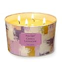 Home Lights Citrus Lavender Scented Candles, 18oz Soy Candles Scandinavian Minimalist Design 4-Wick Large Candle Jars, Ideal Candle Gifts for Events, Home Decor Stress, Relief &amp; Relaxation